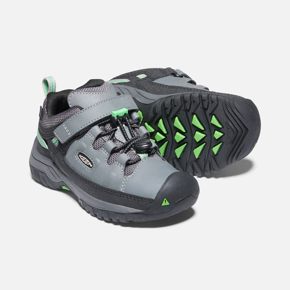 Chaussure de Randonnée Keen Enfant porno/Vert | Targhee Waterproof | ZFSQK-1294